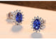 Natural Birthstone Royal Blue Oval Earring