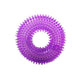 Squeak Chew Pet Toys